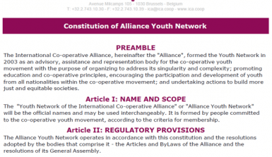 YN Constitution